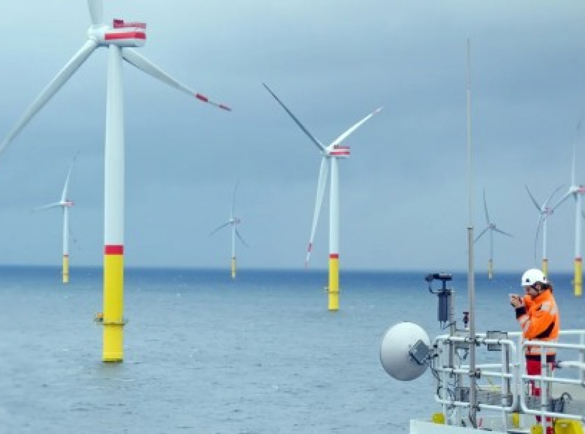 South Brooklyn Marine Terminal to be Transformed Into Offshore Wind Hub