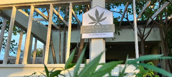 Greenhouse Café at the Coconut Grove beach club.