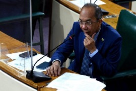 Minister of National Security Dr. Horace Chang, speaking in the House of Representatives on Wednesday.