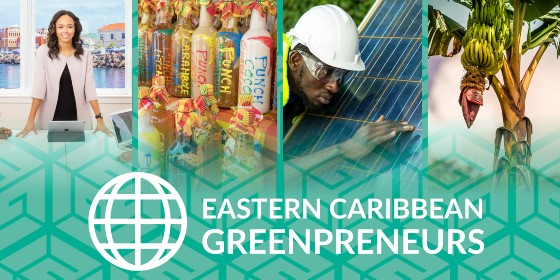 The Eastern Caribbean Green Entrepreneurship Initiative aims to foster the development of green entrepreneurs and businesses in the Eastern Caribbean. (photo via OECS)