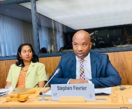 Ambassador Stephen Fevrier