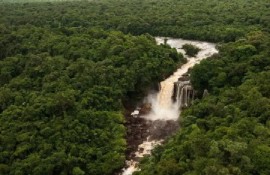 Amaila Falls
