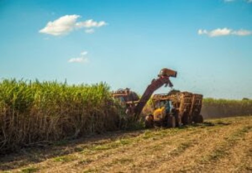 agricul