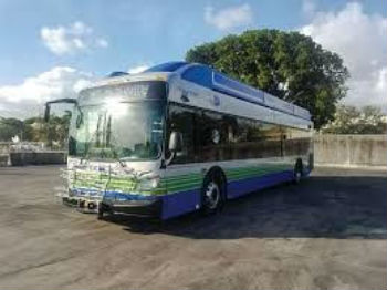 busesss