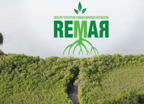 remarest