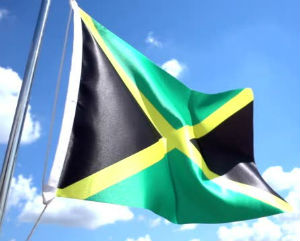 flagjam