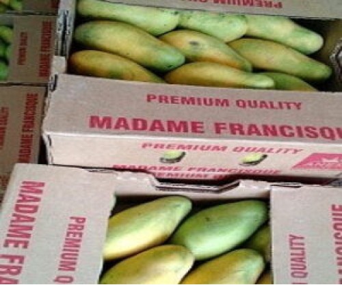 mangoha