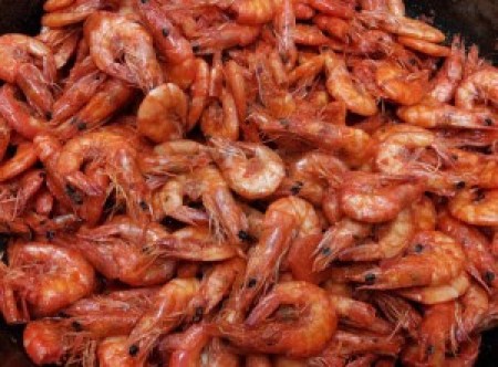 shrimp