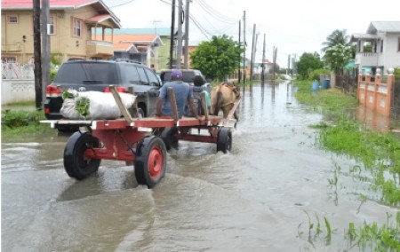 GuFlood