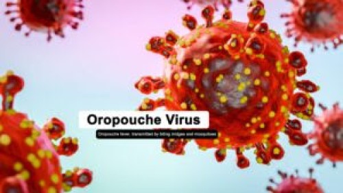 orov virus