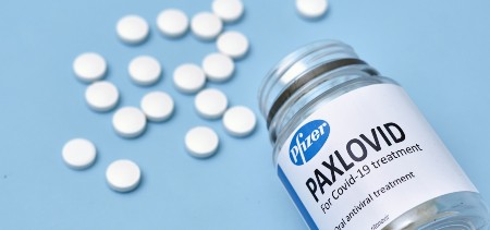 paxlo