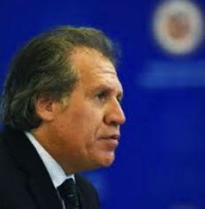Mr B