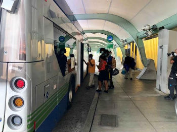 bus