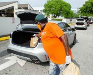 volunteer