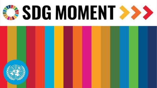 SDGmo