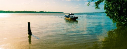 surINM