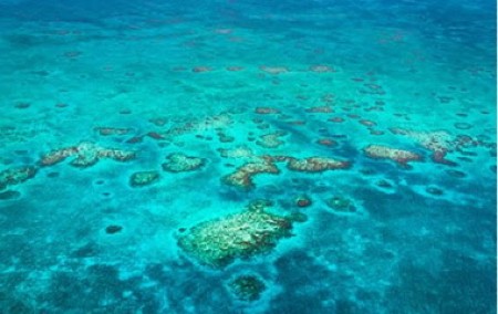 belizesea