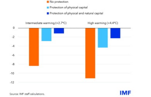 imfoutput