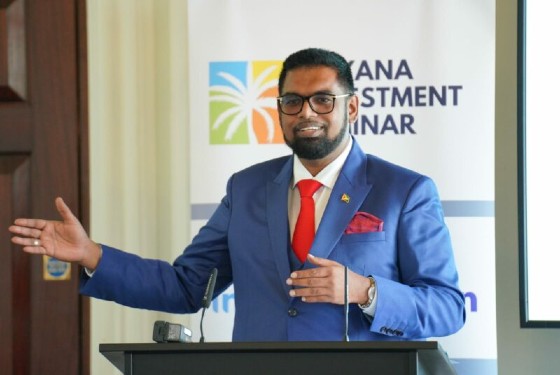 President Irfaan Ali addressing United Kingdom investors (DPI Photo)