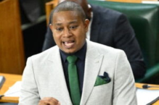 Agriculture, Fisheries and Mining Minister, Floyd Green, speaking in Parliament.
