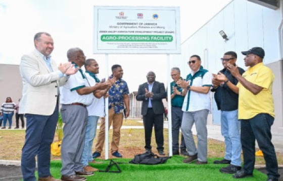 Prime Minister Andrew Holness (third from right) hands over the Essex Valley Agro-Processing Facility in St. Elizabeth. He is joined by (left to right): Andrew Bowden, United Kingdom Development Representative for Jamaica and Caribbean Regional Counsellor; Franklin Witter, State Minister, Ministry of Agriculture, Fisheries and Mining; Floyd Green, Minister of Agriculture, Fisheries and Mining; Marcus Vassell, Farmer; Dr. Martin Baptiste, Division Chief, Social Sector Division, Caribbean Development Bank; Vivion Scully, CEO, Agro-invest; Imran Powell, President, Essex Valley Benevolent Society; and  Aubyn Hill, Minister of Industry, Investment and Commerce.