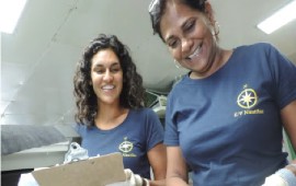  Diva Amon (left) and Professor Judith Gobin (right) measuring some of the Bathymodiolus mussels sampled from the cold seeps. (Photo courtesy Dr Amon).