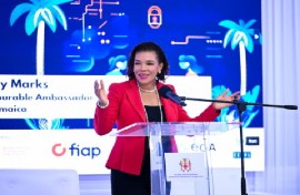 Minister without Portfolio in the Office of the Prime Minister, with responsibility for Efficiency, Innovation, and Digital Transformation, Audrey Marks., addressing the dialogue