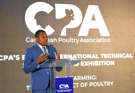 Minister of Agriculture, Fisheries and Mining Floyd Green speaking at the Caribbean Poultry Association Eighth International Technical Symposium and Exhibition. (JIS)
