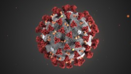 Photo courtesy of the CDC, Alissa Eckert