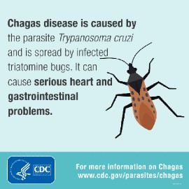 Image by the Center for Global Health, via the CDC