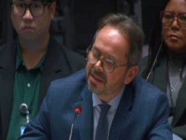 Ruiz Massieu, the Special Representative of the UN Secretary-General, addressing the UN Security Council.