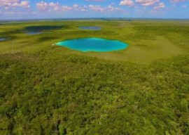 Freshwater Creek Forest Reserve (File Photo)