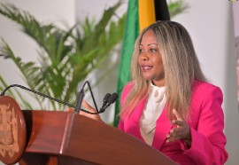 Minister without Portfolio in the Office of the Prime Minister with Responsibility for Information, Skills and Digital Transformation, Senator Dr. Dana Morris Dixon.