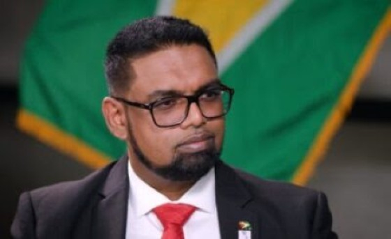 Dr Irfaan Ali is the new chairman of the CARICOM subcommittee on cricket