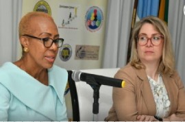 Education and Youth Minister, Fayval Williams, addressing a national seminar on violence in schools