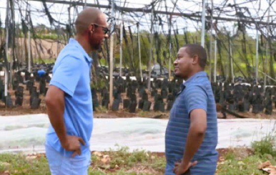 Agriculture, Fisheries and Mining Minister Floyd Green (right) speaking with farmer Vaughan Ebanks regarding the damage to his farm (JIS Photo)