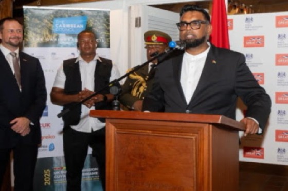 President Irfaan Ali addressing the reception hosted for visiting UK Parliamentarian Paulette Hamilton and the UK Trade Mission