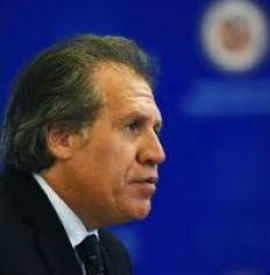 Almargo, Luis – OAS