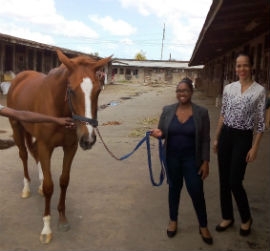 Caribbean Airlines Business Development Manager, Mrs. Roxanne Risbrooke-King and Marketing Officer, Kaleia Christie with one of the horses at Santa Rosa Park. 