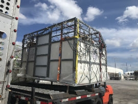The cows being securely loaded for transport out of Miami.