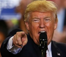 “Trump” 