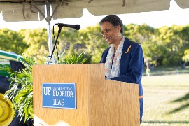 Dr. Pauline O. Lawrence