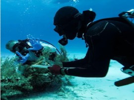 Bahamas Maritime Museum Photo