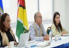 Bruce Golding, speaking to the media in Guyana earlier this month as head of the OAS election observer mission (CMC File Photo)