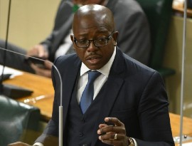 Minister of Housing, Urban Renewal, Environment and Climate Change Pearnel Charles Jr