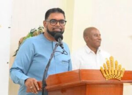Dr Mohamed Irfaan Ali