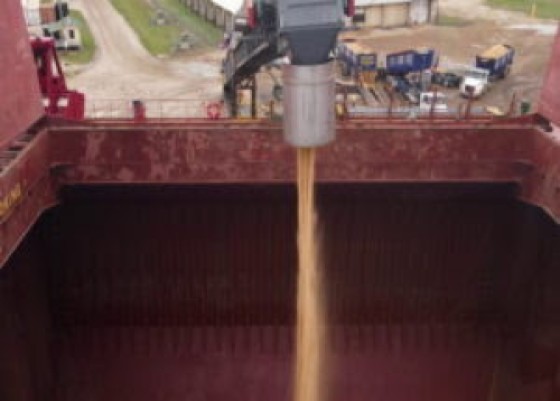 Record raw sugar being loaded for export to England