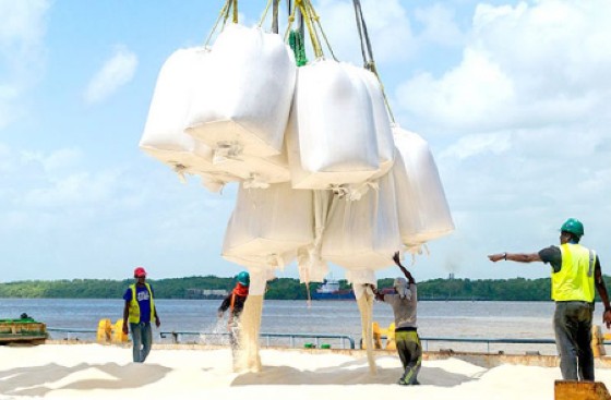 Guyana rice exports (File Photo)