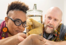 Dr Shani Roper, Curator, The UWI Museum and Mike G. Rutherford, Curator of Zoology & Anatomy, The Hunterian with Celeste, the Jamaican Giant Galliwasp specimen (UWI Photo)