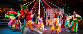 (Photo courtesy of CARICOM Secretariat)